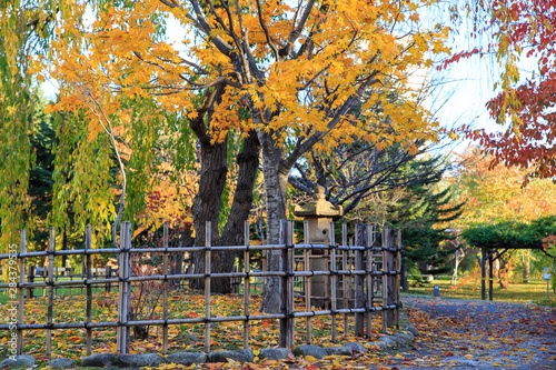 Sapporo City, Hokkaido, Japan - Oct. 29, 2018 : Autumn landscape at Nakajima Park, Sapporo City, Hokkaido, Japan. photo