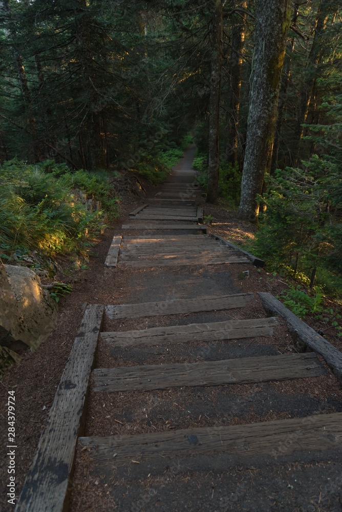 Long wooden step staircase through forest Long wooden step staircase through forest