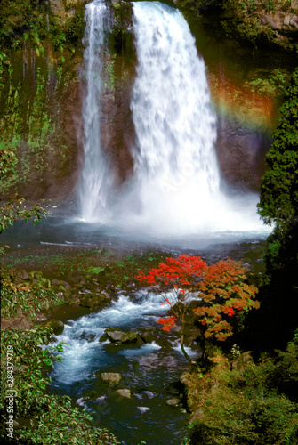 Japan, Honshu, Yamanashi Pref., Fuji-Hakone-Izu NP. Shiraito Falls culminates in a lacy froth in Fuji-Hakone-Izu National Park, Japan.