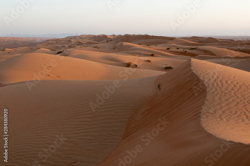 Wahiba Sands desert  Oman