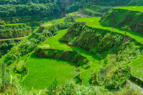 Hapao Rice Terraces, part of the World Heritage Site Banaue, Luzon, Philippines photo