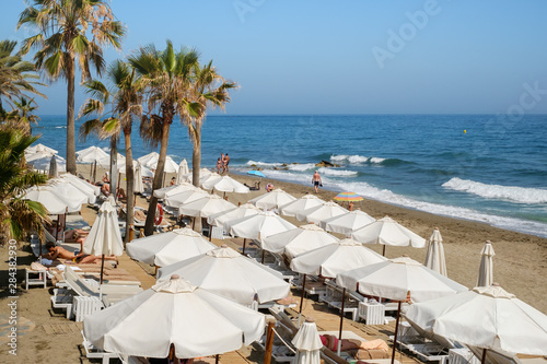 people at the beach with palm trees on the shore of the Mediterranean Sea