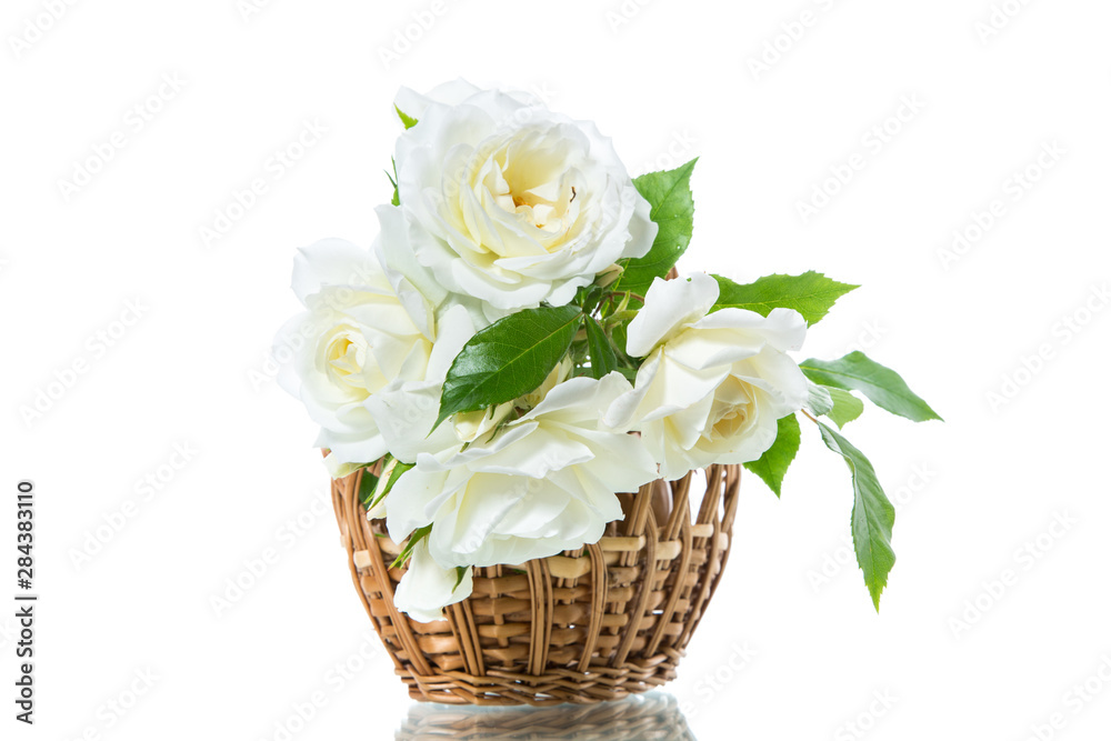 Obraz premium bouquet of beautiful white roses isolated on white