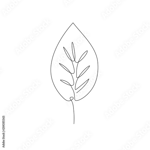 leaf one line drawing. Continuous line. Hand-drawn minimalist illustration, vector.