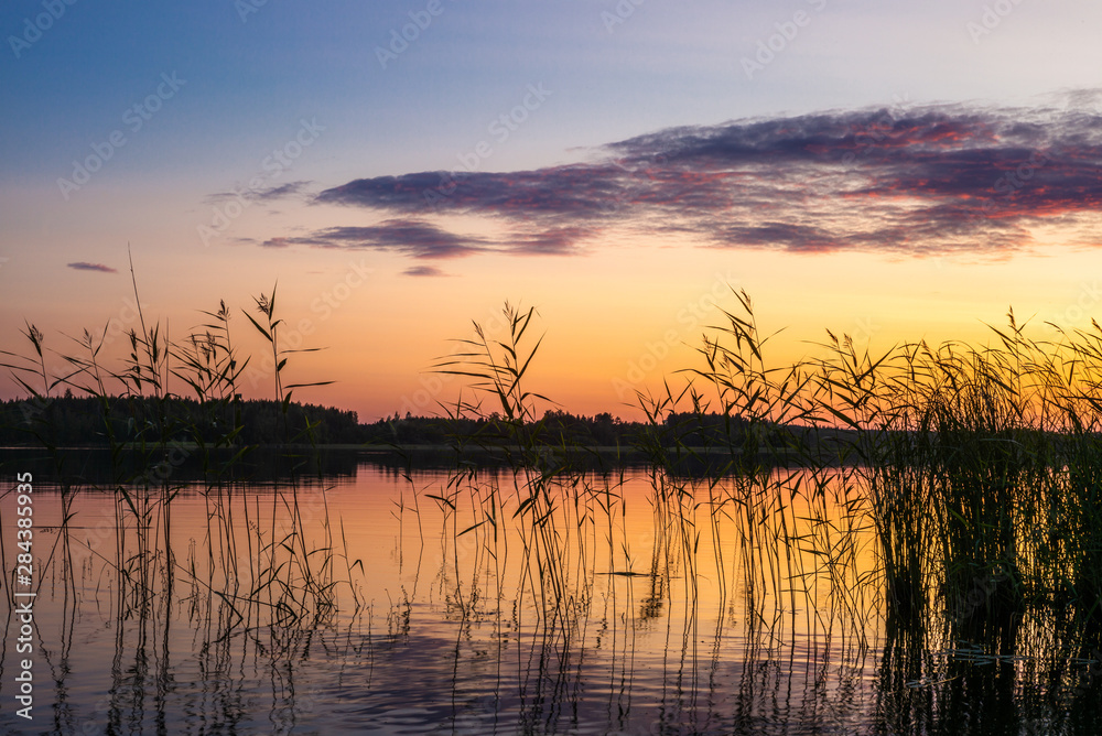 Reeds plants on the shores of the calm Saimaa lake in Finland under a nordic sky on fire  - 3