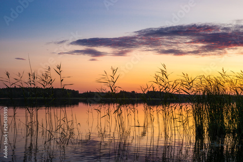 Reeds plants on the shores of the calm Saimaa lake in Finland under a nordic sky on fire - 3