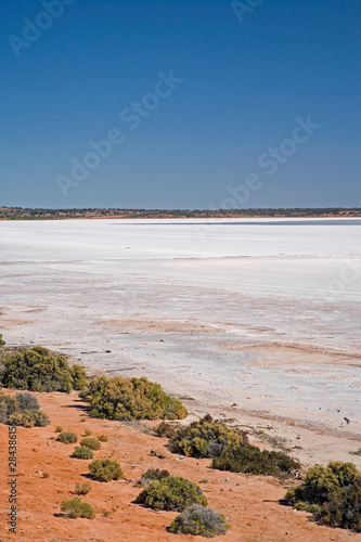 Lake Hart, Stuart Highway near Woomera, Outback, South Australia, Australia photo