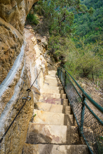 hiking in the blue mountains national park  australia