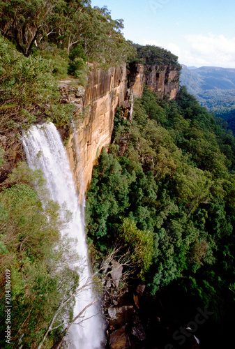 Australia  New South Wales  Fitzroy Falls.