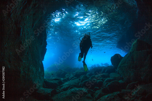 Diver swimming through a sea cave near Poor Knights Islands, North Island, New Zealand. photo