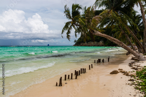 Palm trees on a tropical beach on a stormy day