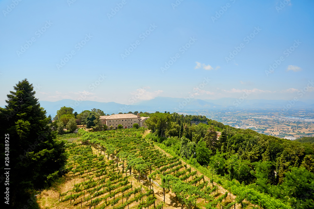 view of the vineyards valley