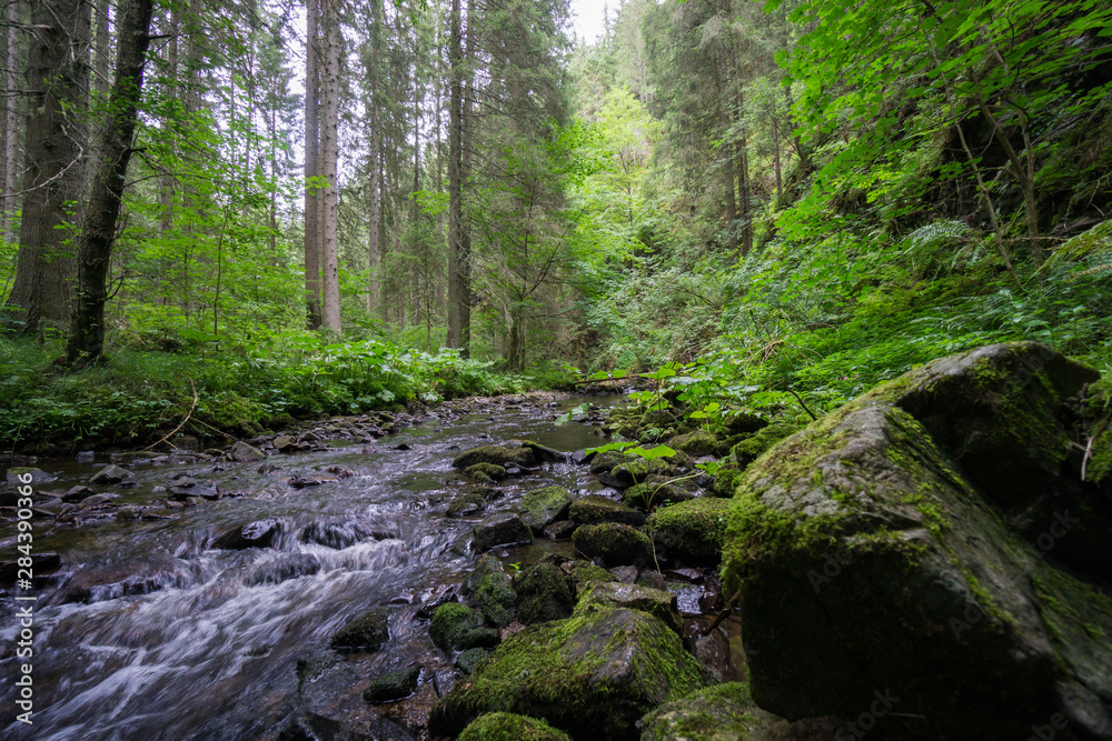 Rötenbachschlucht