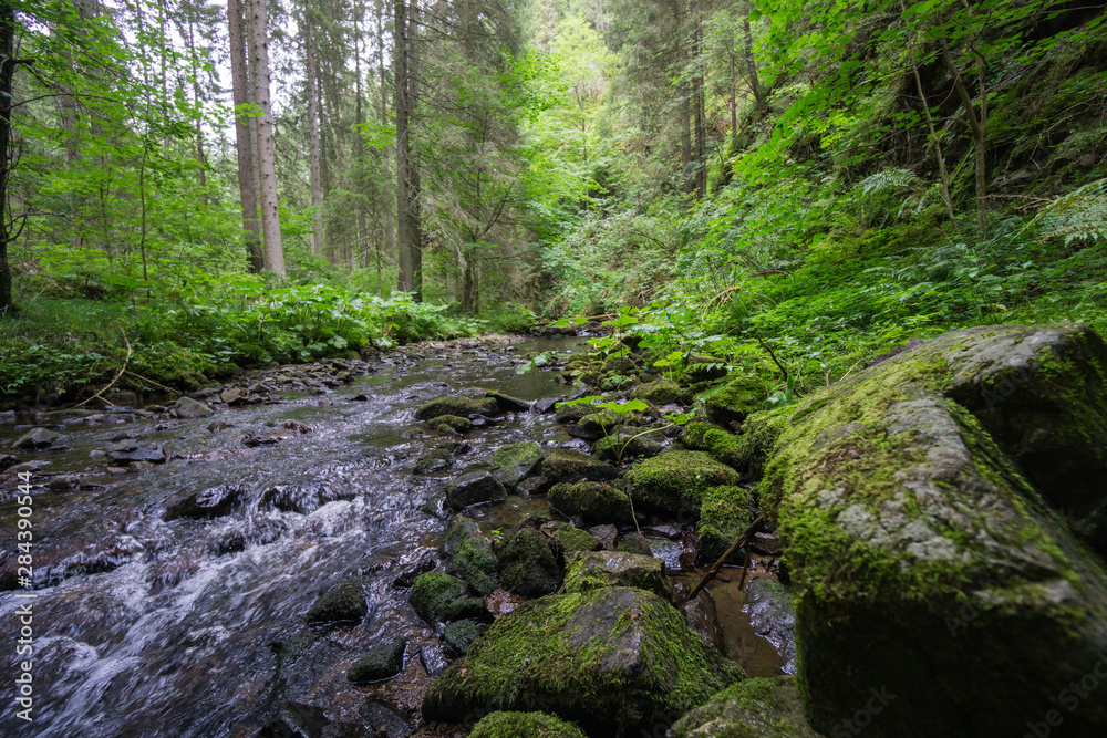 Rötenbachschlucht