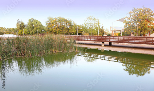 impressive water reflection of the nature at Antonis Tritsis park Attica Greece photo