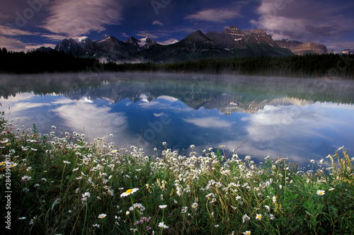North America, Canada, Alberta, Banff National Park. Lake Maligne, mountains and wild flowers