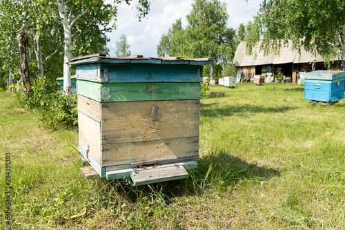 A bee wooden house stands in the forest. Bees collect honey. Birch is