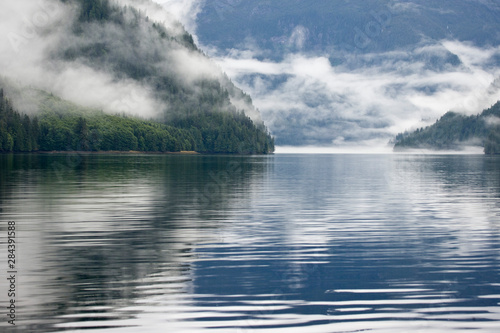 Canada, British Columbia, Fiordlands Recreation Area. Fog-shrouded forest next to ocean inlet.  © Jaynes Gallery/Danita Delimont