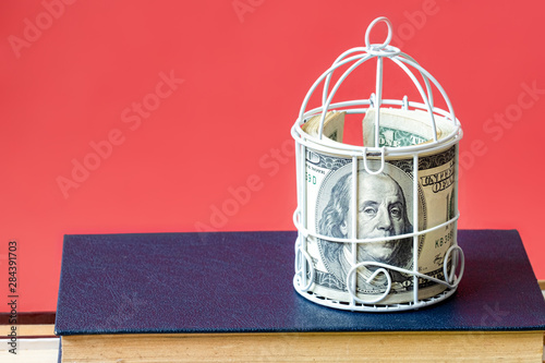 Tablou canvas money in the bird cage on the book, the background is red