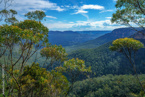 hiking in the blue mountains national park  australia
