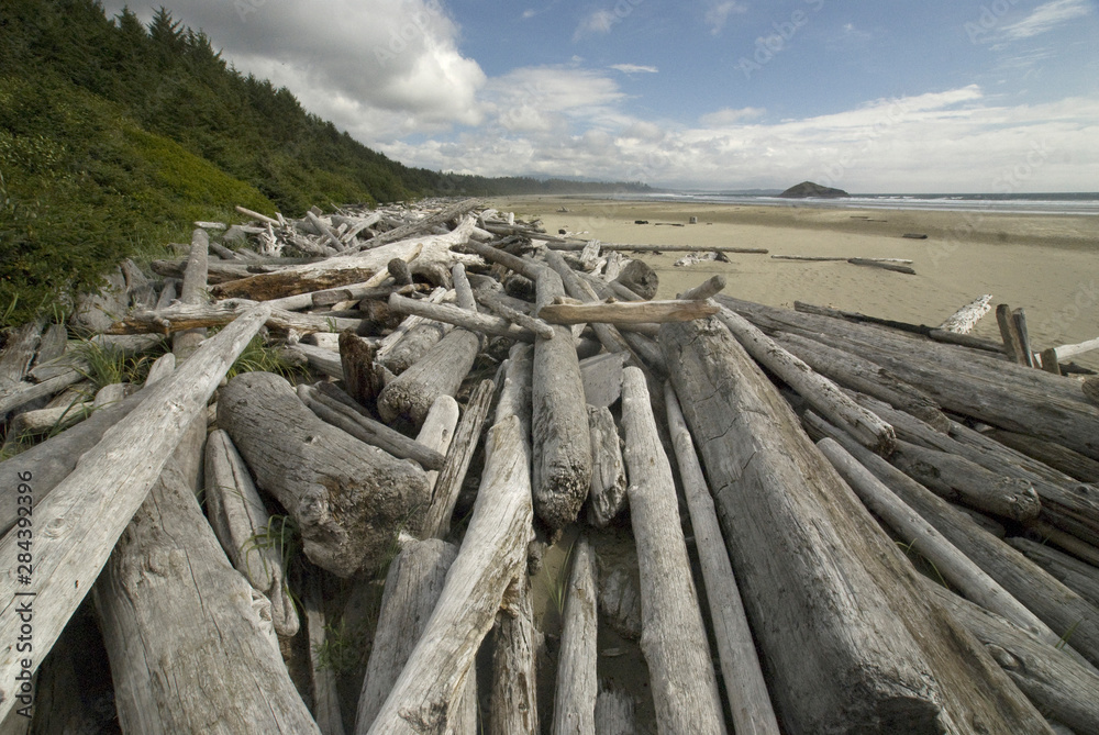 Driftwood at Long Beach, Tofino, British Columbia, Canada