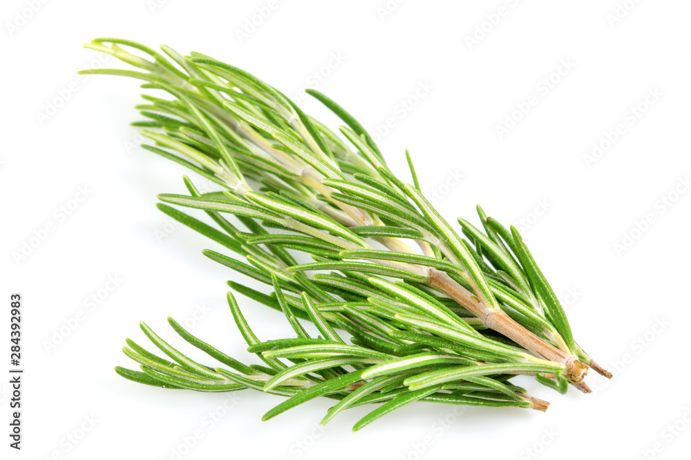 Fototapeta premium Fresh branch of rosemary herb isolated on white background