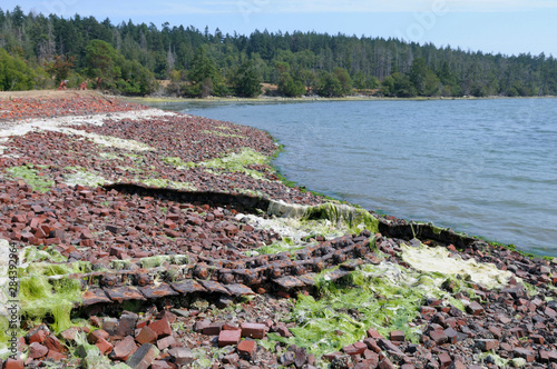 Canada, British Columbia, Sidney Island. Old bricks left behind by the Sidney Tile and Brick Company, Sidney Spit, Gulf Islands National Park Reserve of Canada photo