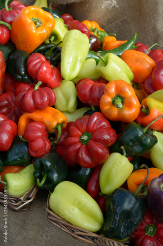 Canada, British Columbia, Salt Spring Island, Ganges. A selection of sweet peppers for sale at the Salt Spring Island Saturday Market located in Ganges © Kevin Oke/Danita Delimont