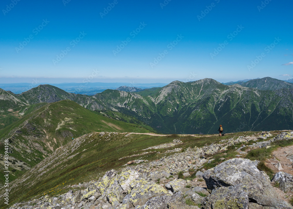 Obraz premium Mountain landscape of Western Tatra mountains with woman with bacpack and dog on hiking trail on Baranec. Sharp green grassy rocky mountain peaks with scrub pine and alpine flower meadow. Summer blue