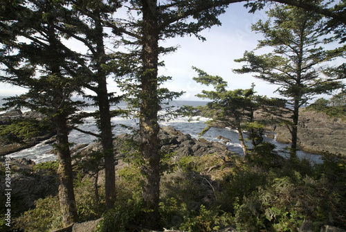 Canvas Print Along the Wild Pacific Trail, Pacific Rim National Park Reserve, Ucluelet, Briti