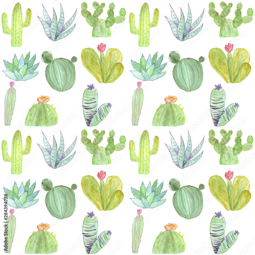 Obraz Seamless pattern with green ordinary and blooming varied cacti on a white background. Watercolor hand drawn pattern