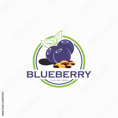 blueberry label logo design unique
