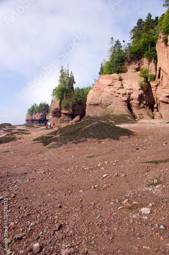 Canada, New Brunswick, Hopewell Cape, Bay of Fundy. Hopewell Rocks at low tide (aka Flowerpot Rocks).