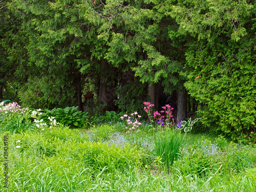 Canada, New Brunswick. Scenic of forest and garden. Credit as: Ellen Anon / Jaynes Gallery / DanitaDelimont.com.