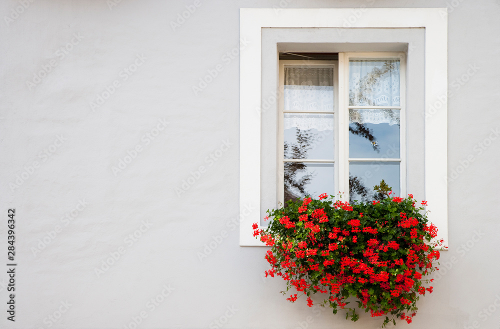 Naklejka premium Wels, Upper Austria, Austria - Red flowers are hanging from an open window with trees reflected in the glass panes.