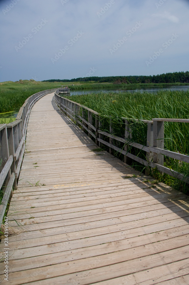 Canada, Prince Edward Island NP, Maritime Plain National Region. Greenwich Peninsula, Cavendish Coastal dune area and wetlands.