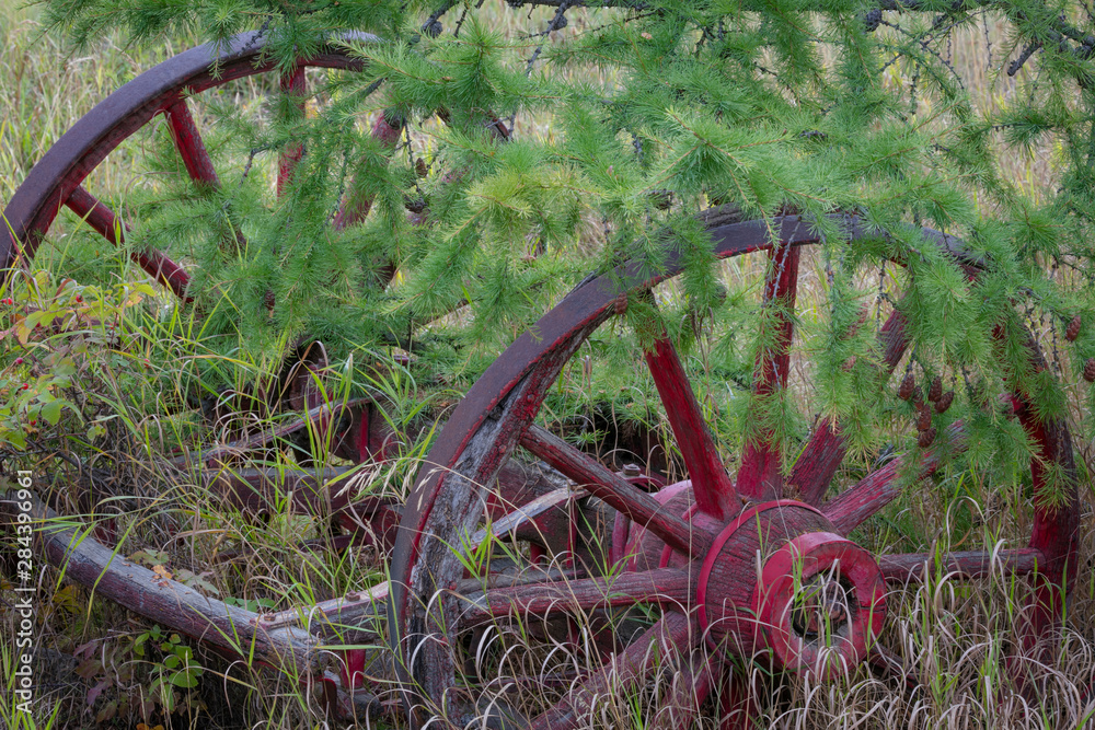 Canada, Yukon Territory. Old wagon wheels in grass. Credit as: Don Paulson / Jaynes Gallery / DanitaDelimont.com Canada, Yukon Territory. Old wagon wheels in grass. Credit as: Don Paulson / Jaynes Gallery / DanitaDelimont.com