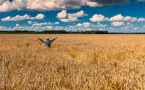 Agricultural landscape with ripening wheat field, happy farmer and beautiful ...