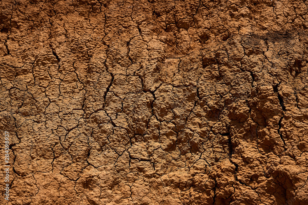 Fototapeta premium cut of the earth as a background texture for artists
