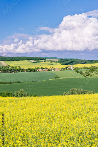 Czech Republic  Moravia  Spring Farm Fields.