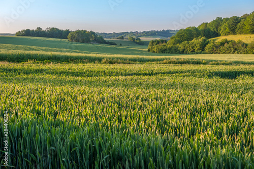 Scenic field  Vexin Region  Normandy  France