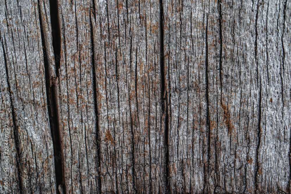 old wood slice with cracks, abstract texture old wood slice with cracks, abstract texture