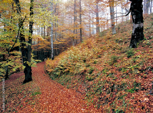 Germany, Bavaria, Ramsau. A trail leads off the Deutsche Alpenstrasse near Ramsau in Bavaria, Germany. photo