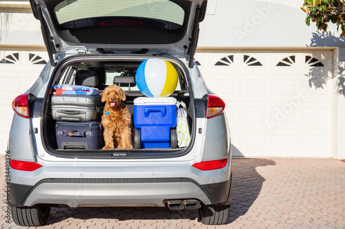 Packed and ready for the beach