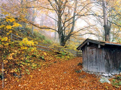 Germany, Bavaria, Ramsau. A wooden shed marks the trail in the forest near Ramsau in Bavaria, Germany.