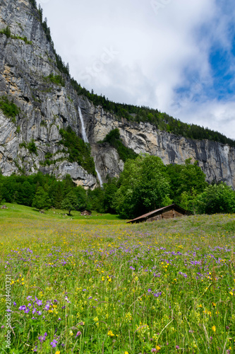 Flourish beautiful valley in Alps, Grindelwald Valley, Switzerland