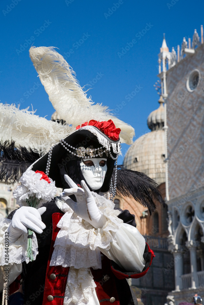 Carnival costume, San Marco Piazza, Venice, Italy