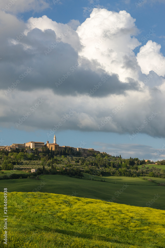 Italy, Tuscany. Mustard blooms in the fields below the hill town of Pienza.