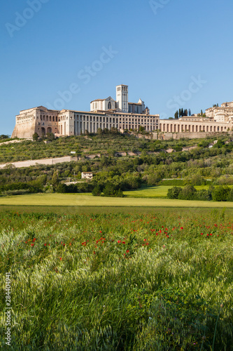 Italy, Assisi. The religious compound of Assisi sits on a prominent hill above meadows and fields in the province of Umbria.