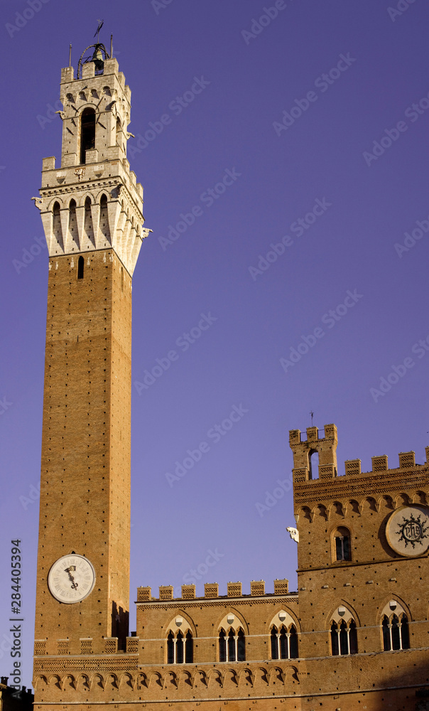 Fototapeta premium Italy, Tuscany, Sienna. Tower and clock view of Torre del Mangia in the Piazza del Campo.